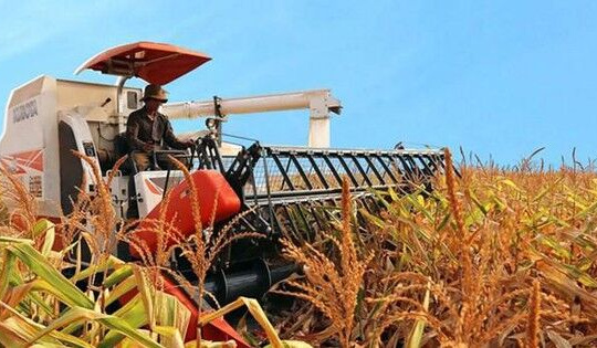 Vì sao HoSE duy trì diện cảnh báo đối với cổ phiếu HAGL Agrico (HNG)?