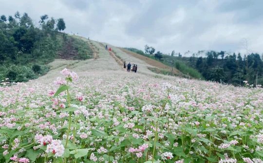 Du lịch Lào Cai: Thích ứng linh hoạt, an toàn và phát triển
