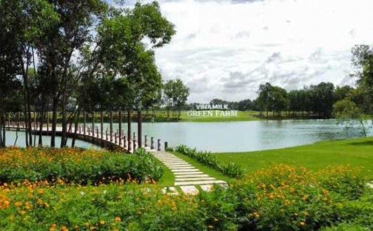 Đại diện Vinamilk: Thị trường sữa sẽ phát triển bền vững trong thời gian tới