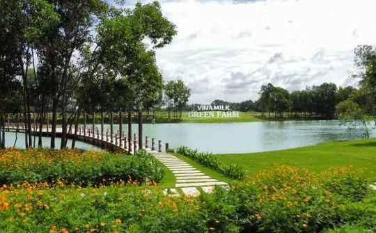 Đại diện Vinamilk: Thị trường sữa sẽ phát triển bền vững trong thời gian tới