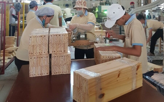 Hoa Kỳ gia hạn kết luận đối với gỗ dán cứng từ Việt Nam lần thứ 3