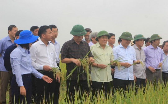 Quảng Trị trên đường chiến thắng - Bài 3: Chuyện “hai nhà” làm nông nghiệp hữu cơ