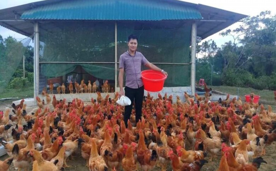 Người đảng viên trẻ làm kinh tế giỏi