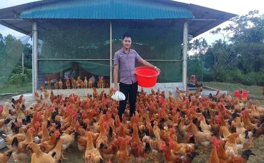 Người đảng viên trẻ làm kinh tế giỏi