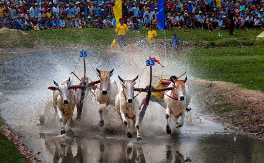 An Giang: Kinh tế tăng trưởng ấn tượng 3 tháng đầu năm