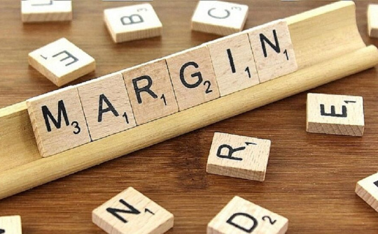 66 cổ phiếu không được cấp margin trên sàn HoSE trong quý 2/2022