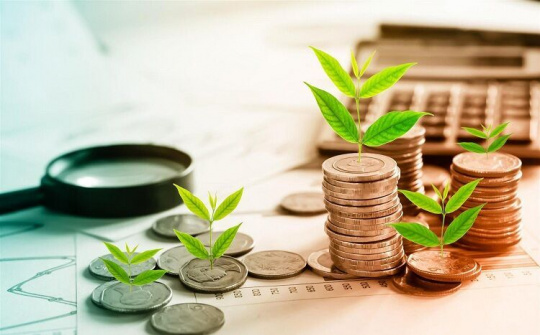 Chính phủ chấn chỉnh hoạt động thị trường trái phiếu doanh nghiệp và đấu giá quyền sử dụng đất