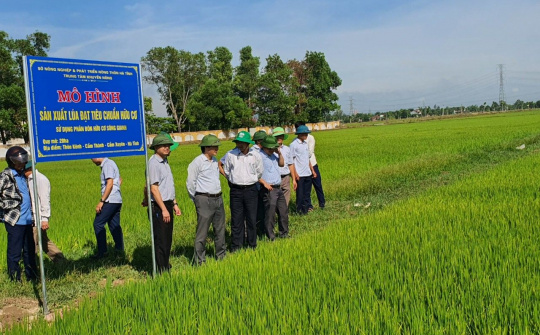 Công ty Sông Gianh: Sản xuất lúa hữu cơ, hướng đi tất yếu của một nền nông nghiệp sạch-bền vững