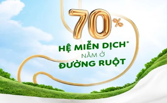 Chăm sóc hệ tiêu hóa giúp tạo nên "thành trì" hệ miễn dịch