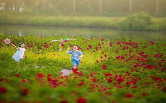 Nơi tìm lại tuổi thơ cho trẻ em phố thị