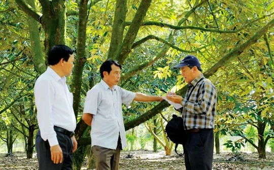 Lâm Đồng: Ứng dụng khoa học và công nghệ đạt được những bước tiến vượt bậc
