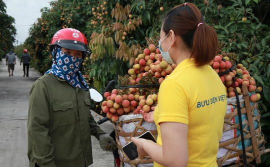 Bắc Giang, Sơn La, Hưng Yên đẩy mạnh tiêu thụ nông sản qua thương mại điện tử