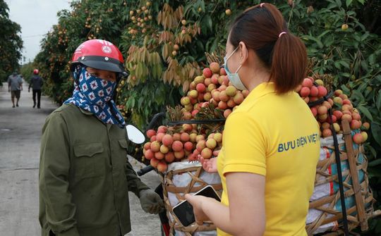 Bắc Giang, Sơn La, Hưng Yên đẩy mạnh tiêu thụ nông sản qua thương mại điện tử
