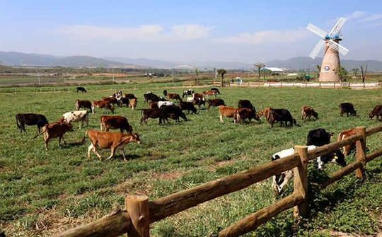 Lâm Đồng: Hướng đến hợp tác phát triển hội nhập sâu rộng tại Châu Âu