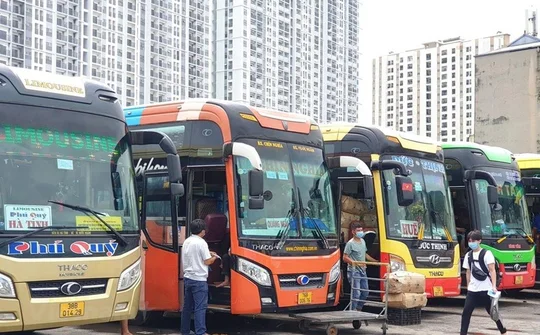 Giá xăng dầu giảm, vì sao giá cước vận tải vẫn "đứng im"?
