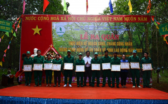 Công ty TNHH MTV Cao Su Mang Yang: Phát triển và Hội nhập