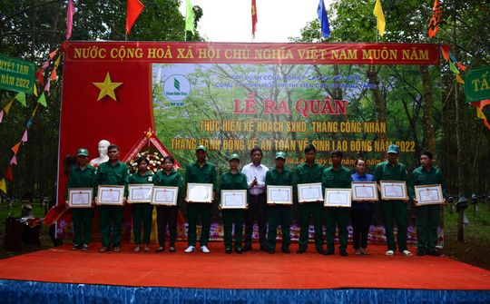 Công ty TNHH MTV Cao Su Mang Yang: Phát triển và Hội nhập