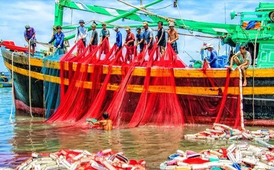 Phát triển kinh tế biển xanh - Định hướng cần thiết để phát triển bền vững kinh tế biển Việt Nam