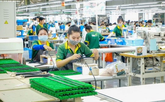 Gia hạn thời hạn nộp thuế và tiền thuê đất năm 2022