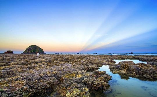Vi vu xứ hoa vàng, cỏ xanh Phú Yên - Check-in ở đâu, ăn gì ngon?
