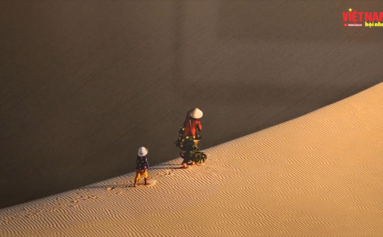 “Nghệ thuật chữa lành vết thương” – Triển lãm Sáng và Tối