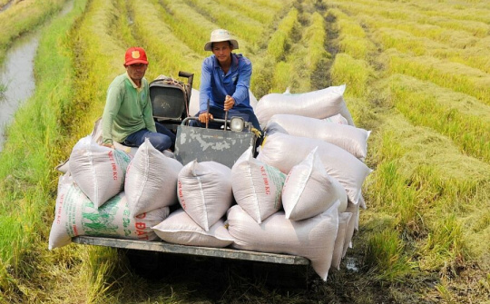 Tận dụng lợi thế để gia tăng xuất khẩu gạo sang thị trường ASEAN