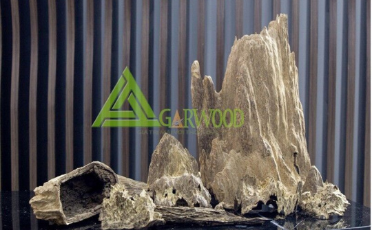 Mỗi bước chân một hành trình, trầm hương Việt Nam vươn mình chinh phục thế giới