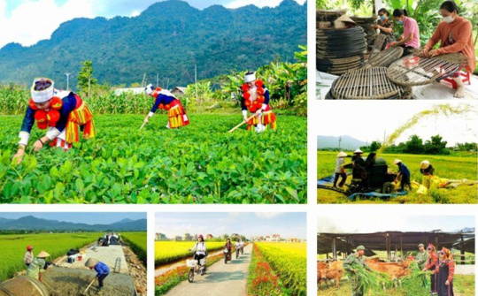 Đẩy mạnh phân cấp, trao quyền cho địa phương trong quản lý, tổ chức thực hiện các chương trình mục tiêu quốc gia