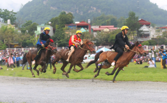 Gay cấn vòng chung kết ‘Giải đua vó ngựa cao nguyên lần thứ 15” Bắc Hà