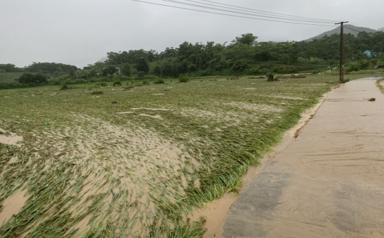 Bảo Yên: Lũ ống đột ngột xuất hiện trong đêm