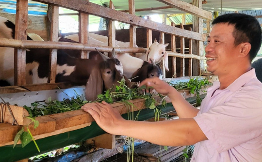 Đăk Nông: Phát huy hiệu quả từ nguồn vốn vay theo Nghị quyết số 11/NQ-CP của Chính phủ