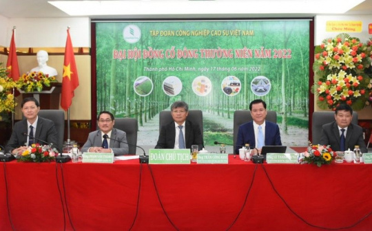 VRG phấn đấu lợi nhuận năm 2022 đạt 6.480 tỷ đồng