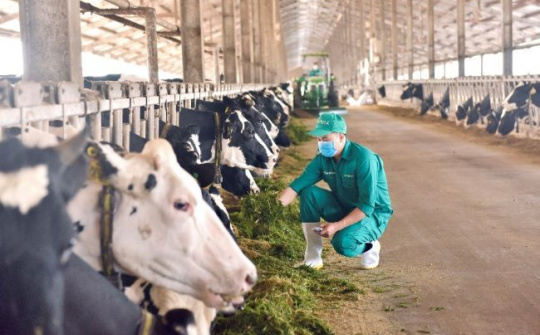 Vinamilk chia sẻ mô hình phát triển bền vững “Green Farm” tại hội nghị sữa toàn cầu