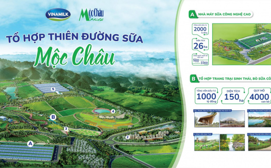 Hé lộ hình ảnh Thiên đường sữa tại Mộc Châu - kỳ quan tương lai của Tây Bắc