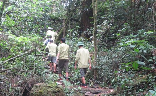 Trường Sơn nơi tôi trở lại (kỳ 5): Tâm sự của những người gác rừng