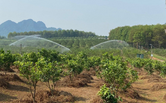 Nghệ An - Ngành nông nghiệp tăng trưởng ấn tượng