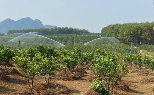 Nghệ An - Ngành nông nghiệp tăng trưởng ấn tượng