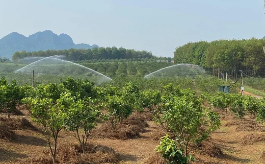Nghệ An - Ngành nông nghiệp tăng trưởng ấn tượng