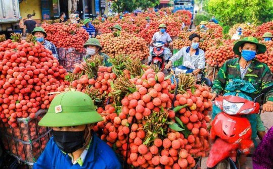 Trung Quốc thí điểm nhập khẩu nông sản trở lại