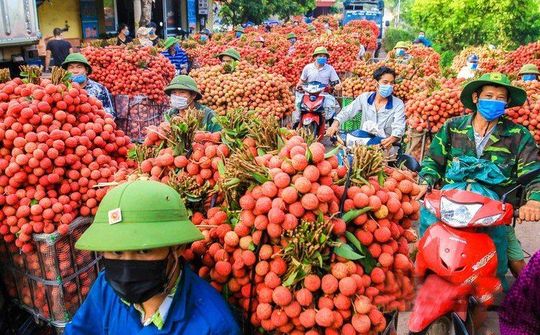 Trung Quốc thí điểm nhập khẩu nông sản trở lại