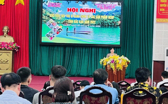Xúc tiến tiêu thụ bí xanh thơm và các nông sản tỉnh Bắc Kạn năm 2022 trên các sàn thương mại điện tử
