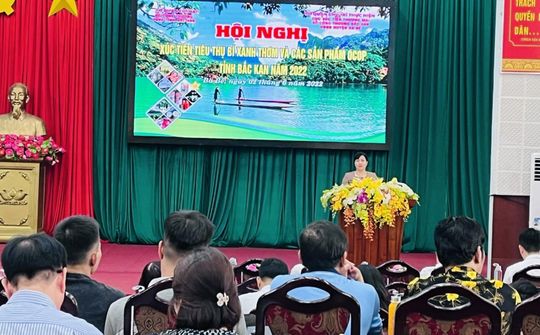 Xúc tiến tiêu thụ bí xanh thơm và các nông sản tỉnh Bắc Kạn năm 2022 trên các sàn thương mại điện tử