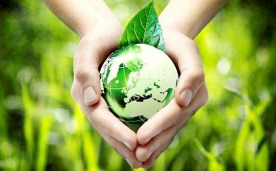 Giải pháp nào xây dựng môi trường kinh doanh xanh?