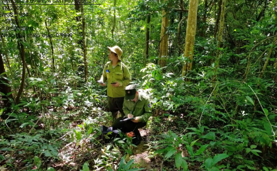 Bảo tồn và phát huy hệ sinh thái Vườn quốc gia Chư Mom Ray