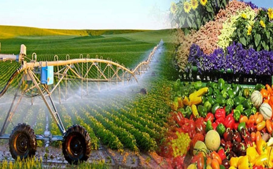 Bộ Nông nghiệp quyết tâm cắt giảm thủ tục hành chính thu hút đầu tư kinh doanh
