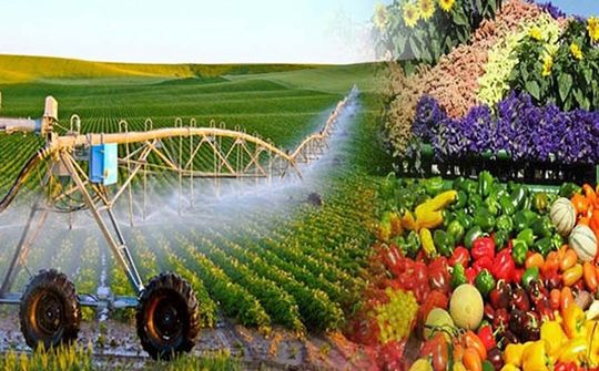 Bộ Nông nghiệp quyết tâm cắt giảm thủ tục hành chính thu hút đầu tư kinh doanh
