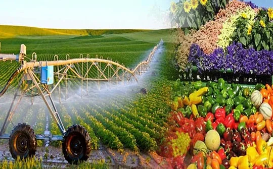 Bộ Nông nghiệp quyết tâm cắt giảm thủ tục hành chính thu hút đầu tư kinh doanh