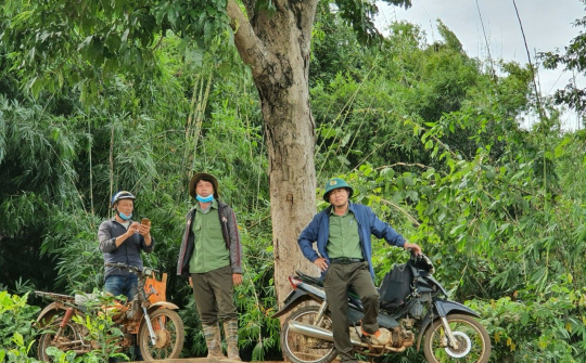 Công ty TNHH MTV Lâm nghiệp Nam Tây Nguyên: Nhiệm vụ trọng tâm là quản lý bảo vệ rừng