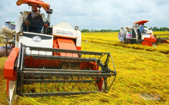 Thái Bình phải phát huy hơn nữa thế mạnh về sản xuất nông nghiệp