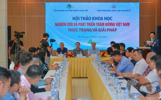 Nghiên cứu và phát triển trầm hương Việt Nam: Thực trạng và Giải pháp